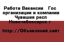 Работа Вакансии - Гос. организации и компании. Чувашия респ.,Новочебоксарск г.